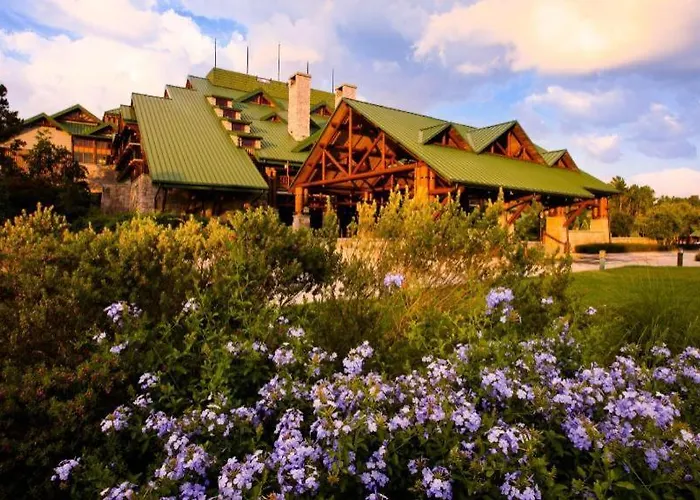 Disney'S Wilderness Lodge